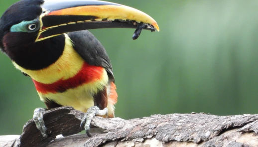 EQUILIBRIO CON EL PLANETA