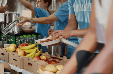 Seguridad alimentaria: